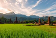 Aura Farming: Budaya, Kreativitas, Kedamaian