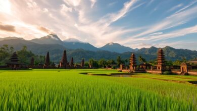 Aura Farming: Budaya, Kreativitas, Kedamaian